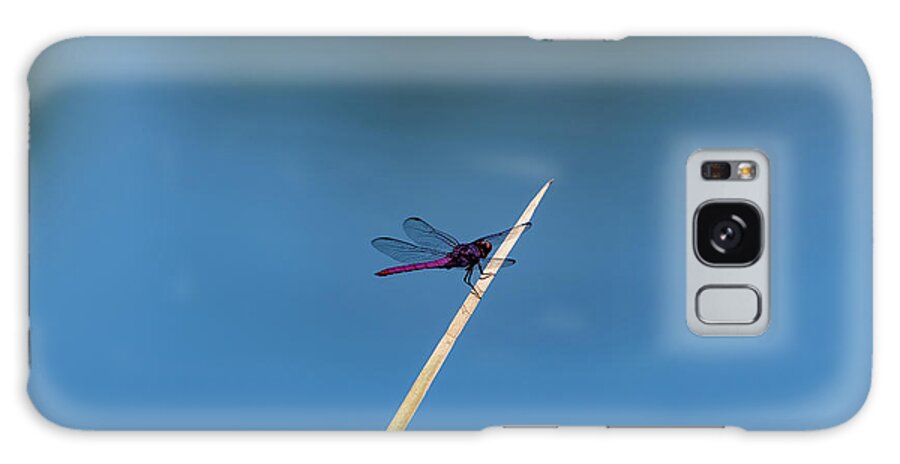 Dragonfly Galaxy S8 Case featuring the photograph Purple Dragonfly by Douglas Killourie