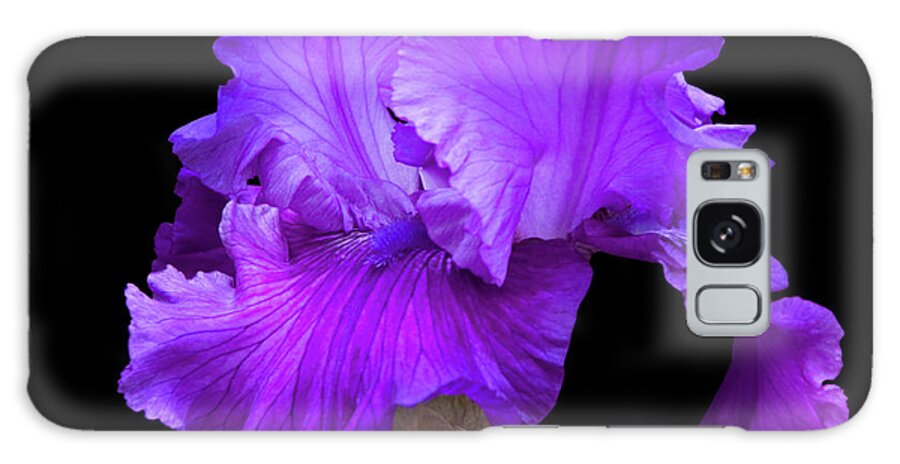 Purple Galaxy Case featuring the photograph Purple Iris On Black by Deborah Harrison