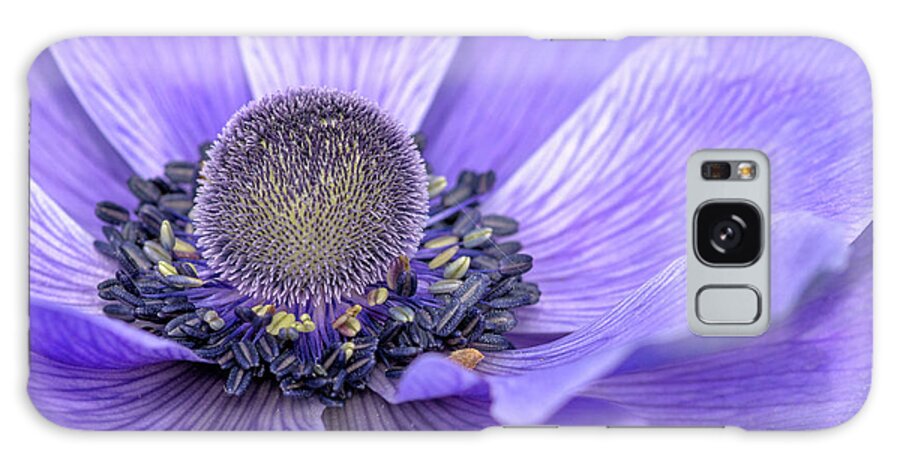 Flower Galaxy Case featuring the photograph Purple Poppy by Karen Leigh