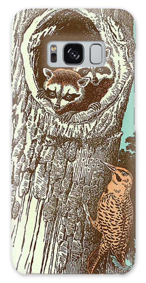 Animal Galaxy Case featuring the drawing Raccoons and Bird by CSA Images