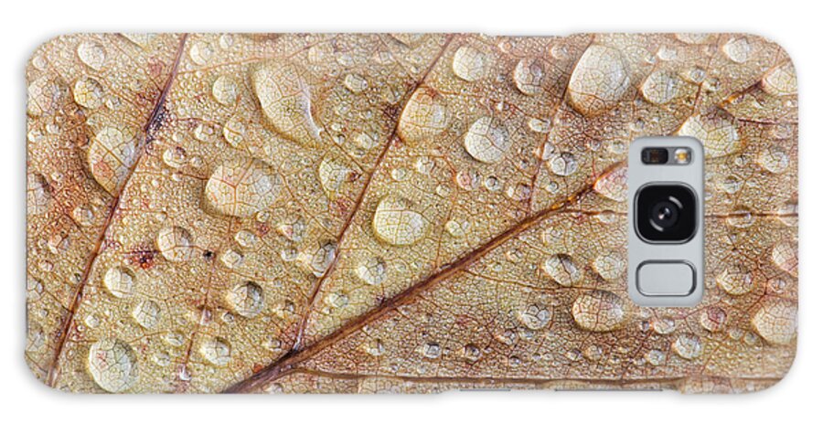 Raindrops Galaxy Case featuring the photograph Raindrops on Autumn Leaf by Tim Gainey