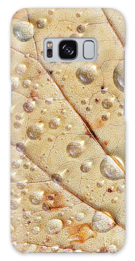 Raindrops Galaxy Case featuring the photograph Raindrops on Autumn Tulip Tree Leaf by Tim Gainey