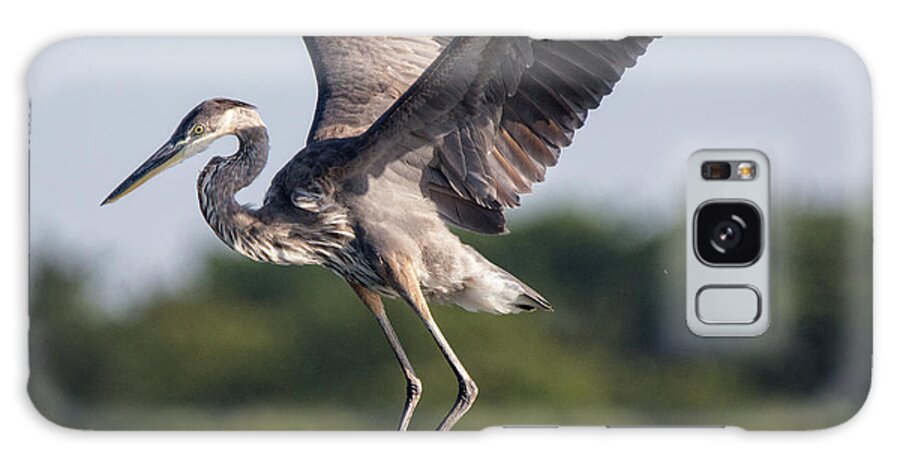 Heron Galaxy Case featuring the photograph Ready for Flying by Robert Pilkington