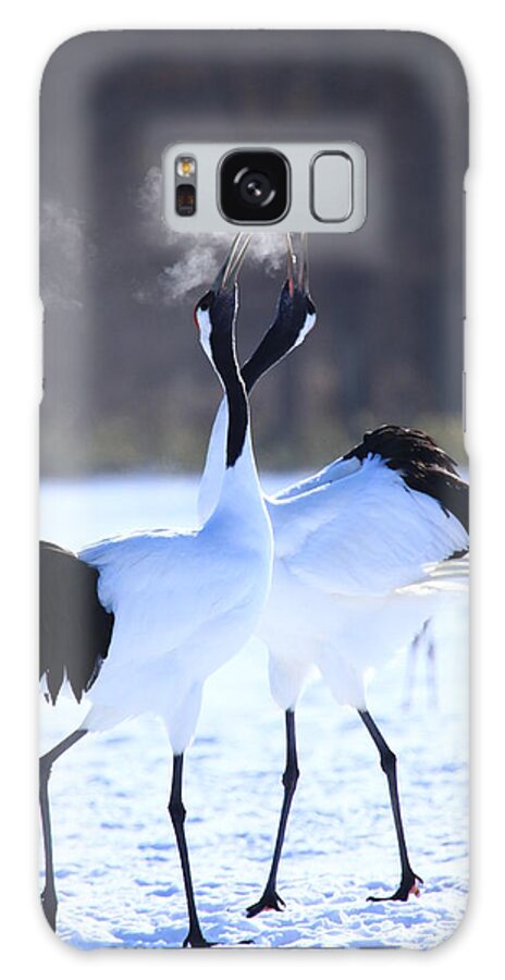 Hokkaido Galaxy Case featuring the photograph Red-crowned Crane by Piterpan