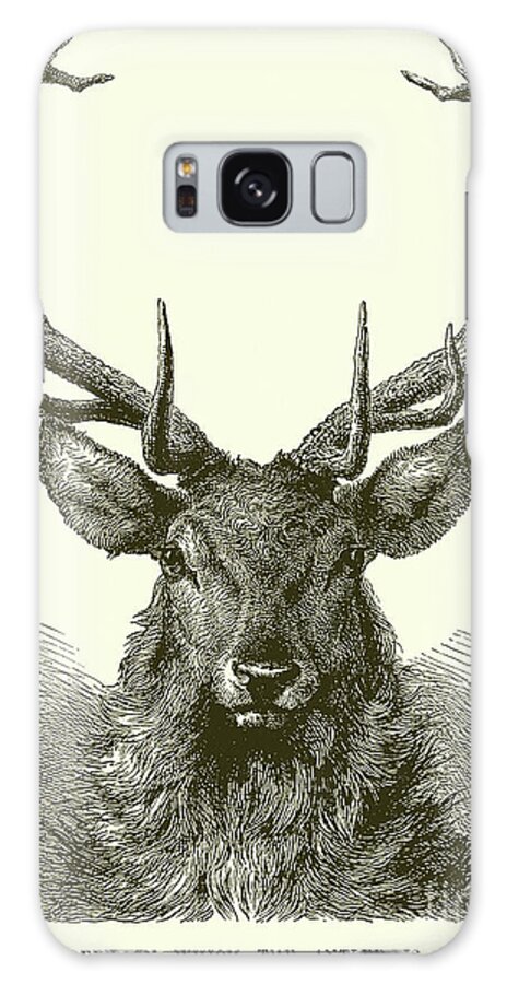 Deer Galaxy Case featuring the drawing Red Deer Head by English School