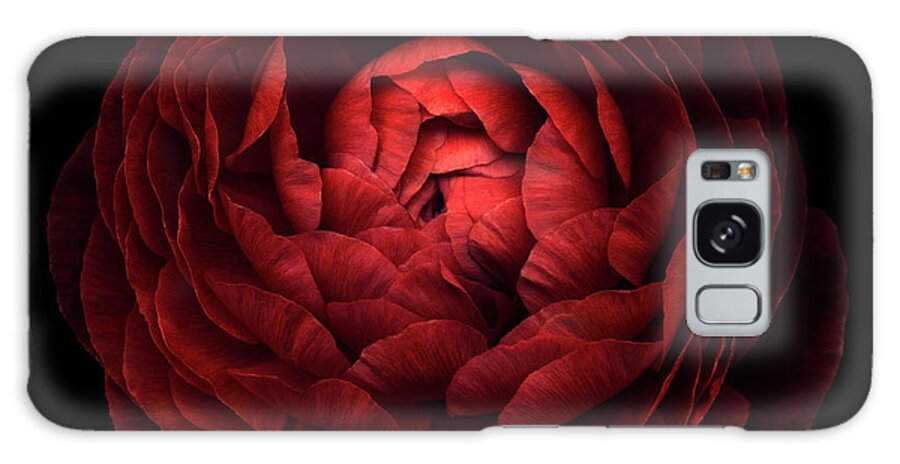 Red Flower On Black 05 Galaxy Case featuring the photograph Red Flower On Black 05 by Tom Quartermaine