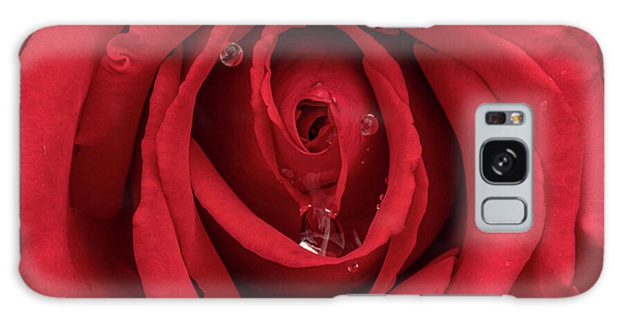 Rose Galaxy Case featuring the photograph Red Rose by Arthur Oleary