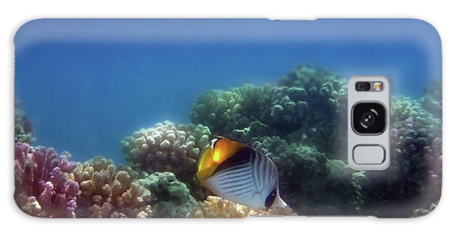 Underwater Galaxy Case featuring the photograph Red Sea Threadfin Butterflyfish Panorama by Johanna Hurmerinta