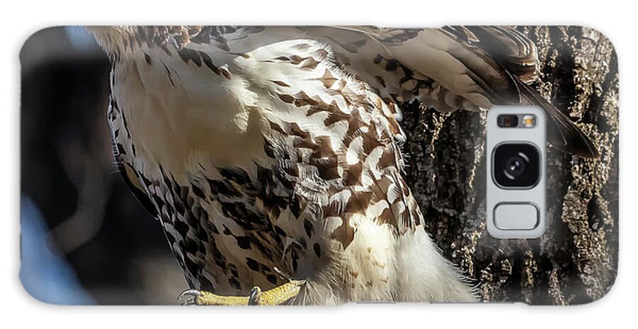 Hawk Galaxy Case featuring the photograph Red-tail Hawk by Karl Mohr