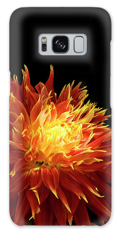 Firework Display Galaxy Case featuring the photograph Red-yellow Dahlia Flower by Eyepix