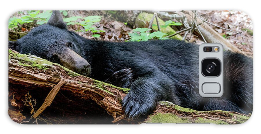 Black Bear Galaxy Case featuring the photograph Resting Comfortably by Marcy Wielfaert
