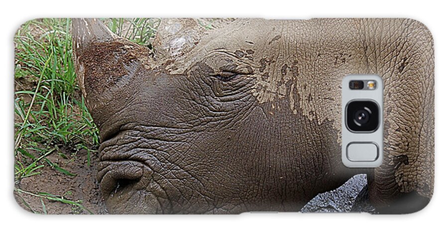 Rhino Galaxy Case featuring the photograph Rhino by Galloimages Online