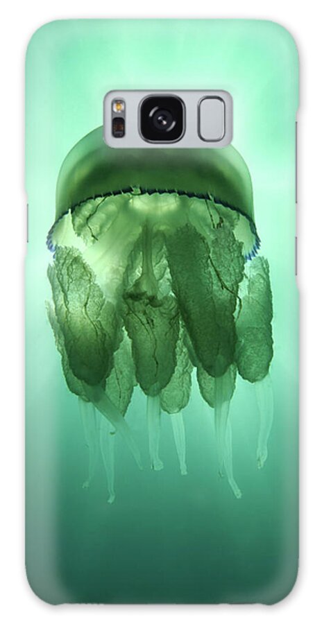 Underwater Galaxy Case featuring the photograph Rhizostoma Pulmo Jellyfish by Underwater Photography By Ivan Bakardjiev