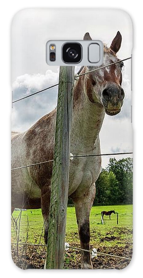 Horse Galaxy Case featuring the photograph Ride by Terri Hart-Ellis