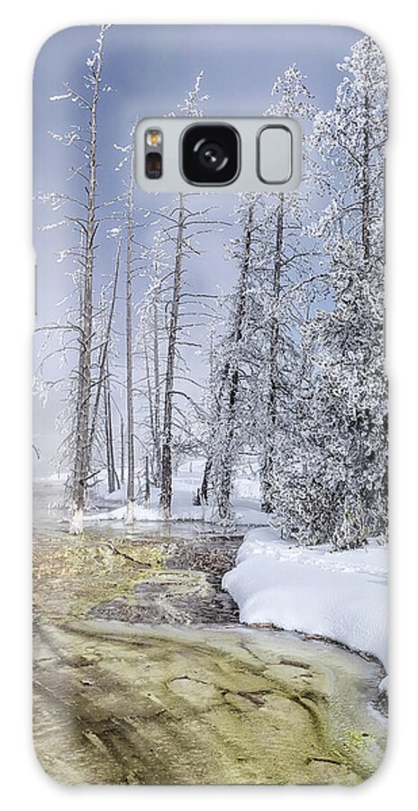 2019 Galaxy Case featuring the photograph River Of Gold - Jo Ann Tomaselli by Jo Ann Tomaselli
