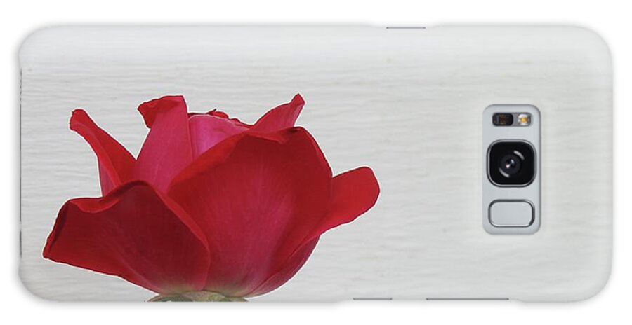 Rose Galaxy Case featuring the photograph Rose Haven by Kathy Chism