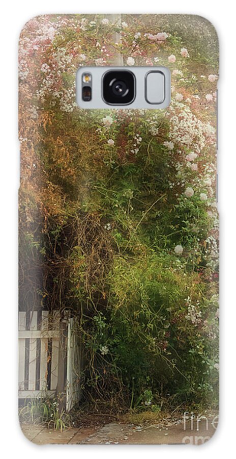 Roses Galaxy Case featuring the photograph Rosy Entry by Elaine Teague