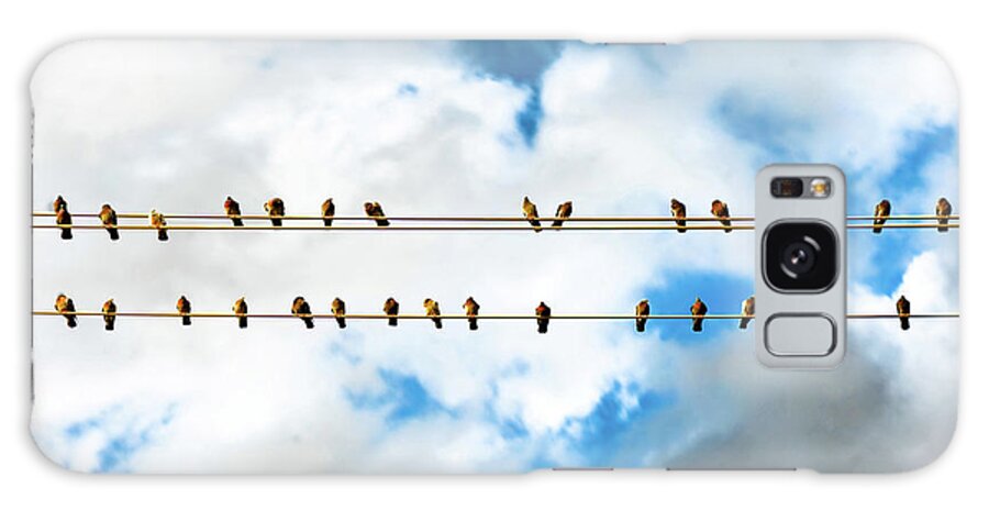 In A Row Galaxy Case featuring the photograph Row Of Birds On Electric Wire by © Copyright Svetan Photography - All Rights Reserved.