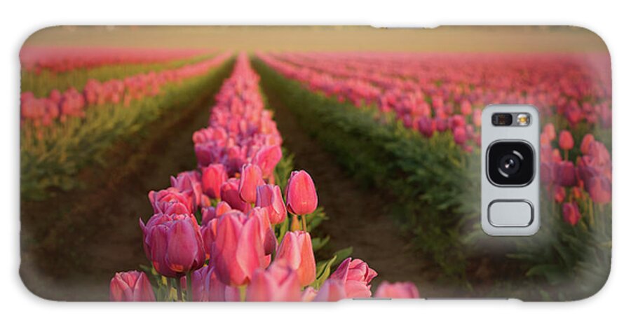 Tulip Galaxy Case featuring the photograph Rows of Pink Impression by Beve Brown-Clark Photography