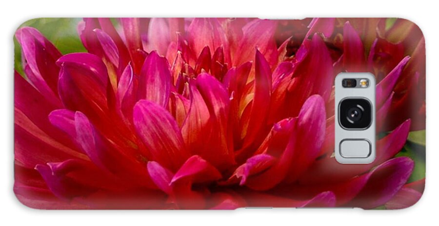 Dahlia Galaxy S8 Case featuring the photograph Ruby Red Dahlia by Susan Rydberg