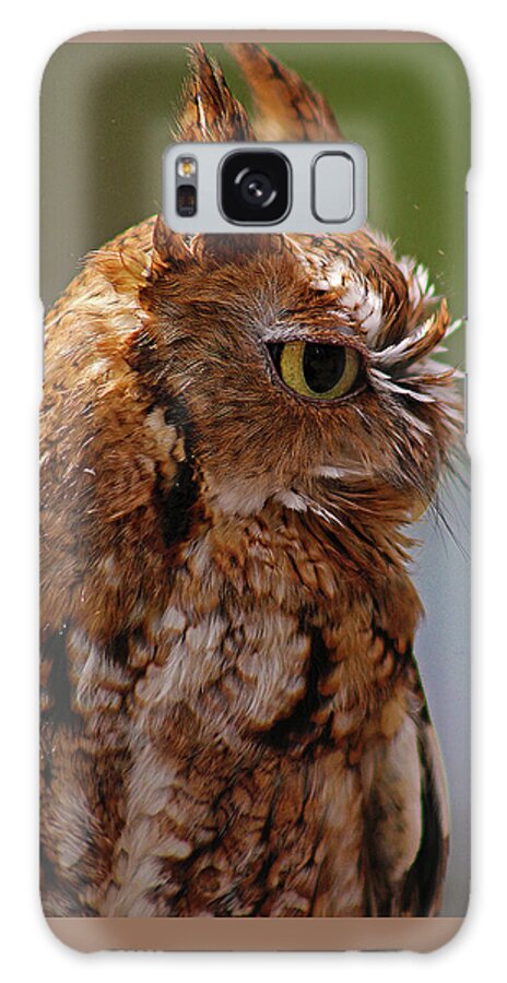 Owl Galaxy Case featuring the photograph Ruby's Upset by Michael Allard