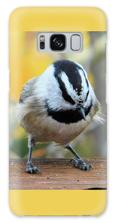 Birds Galaxy Case featuring the photograph Ruffled Feathers by Karen Stansberry