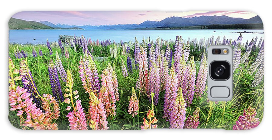 Tranquility Galaxy Case featuring the photograph Russel Lupines At Lake Tekapo by Atomiczen