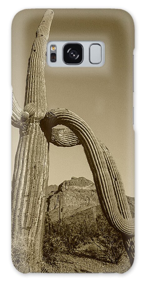Disk1216 Galaxy Case featuring the photograph Saguaro And Ajo Mts. by Tim Fitzharris