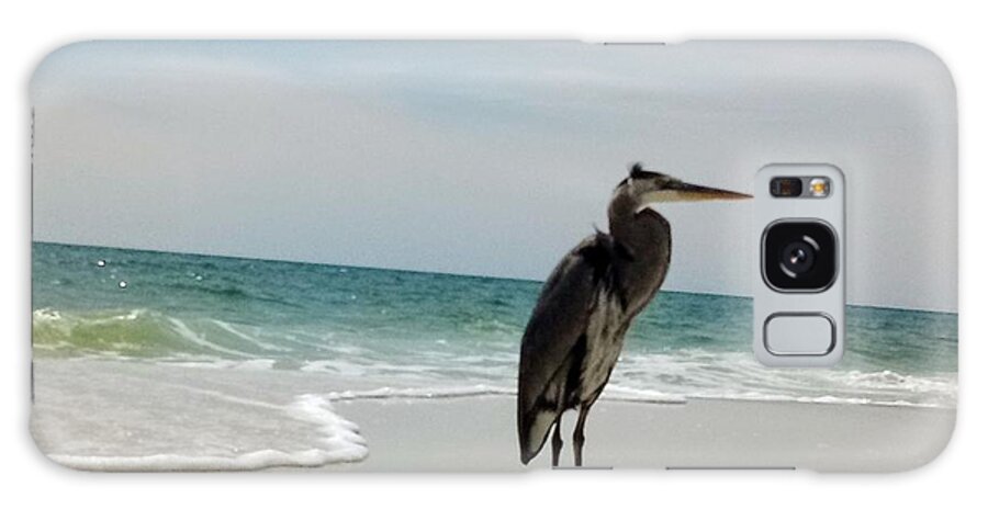 Bird Ocean Sea Sand Florida Galaxy Case featuring the photograph Sand, water, Bird by James and Donna Daugherty