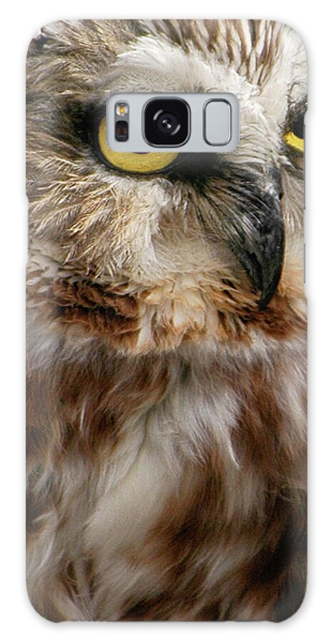 Birds Galaxy Case featuring the photograph Saw-whet Owl by Minnie Gallman