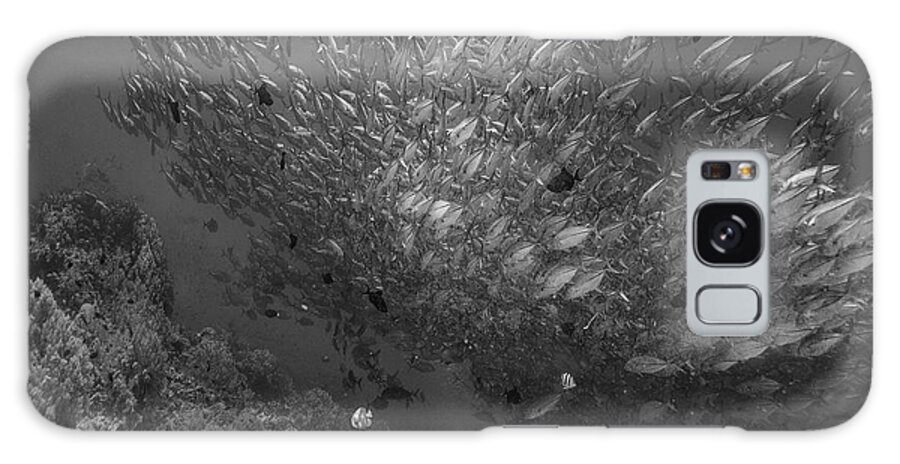 Disk1215 Galaxy Case featuring the photograph Schooling Reef Fish by Tim Fitzharris