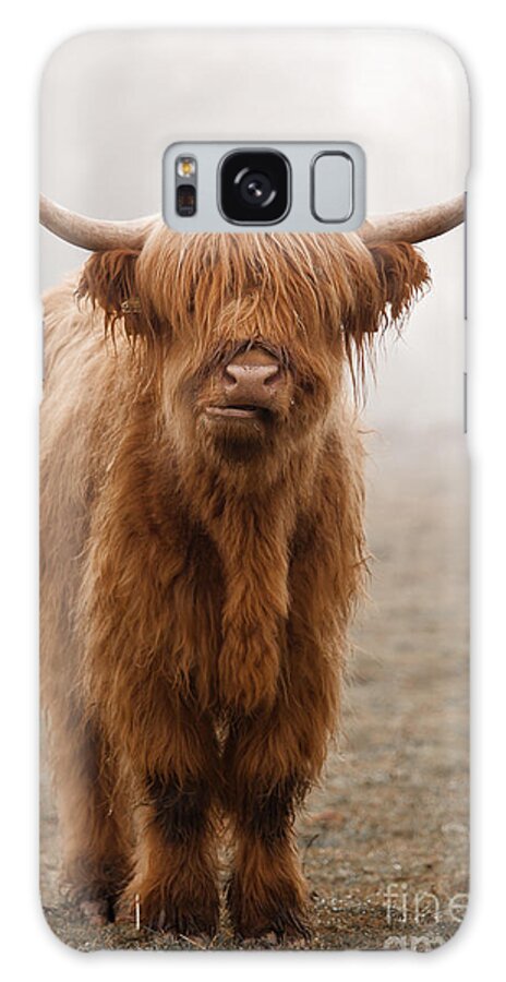Dirty Galaxy Case featuring the photograph Scottish Highland Cow by Franz Peter Rudolf