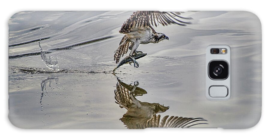 Osprey Fishing Galaxy Case featuring the photograph Osprey With Fish at the Marina by Cordia Murphy