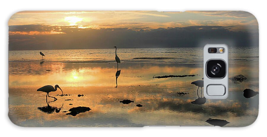 Sea Birds Low Tide Galaxy Case featuring the photograph Sea Birds Low Tide by Robert Goldwitz