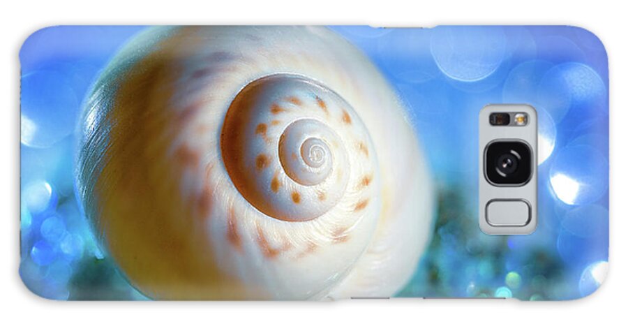 Sea Galaxy Case featuring the photograph Sea Snail Shell by Luis Vasconcelos