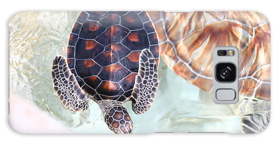 Underwater Galaxy Case featuring the photograph Sea Turtle by Alyssa B. Young