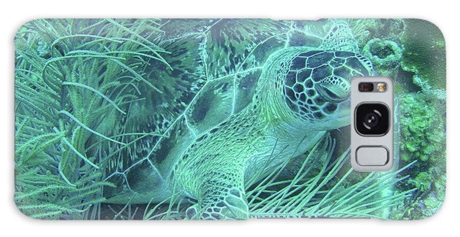 Marine Life Galaxy Case featuring the photograph Sea Turtle Underwater Wonders by Leslie Struxness