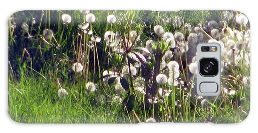 Dandelion Seed Heads Galaxy Case featuring the photograph Field of Seed Heads by Jaeda DeWalt