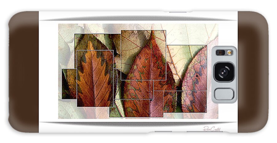 Leaves Galaxy Case featuring the photograph Segmented Autumn by Rene Crystal