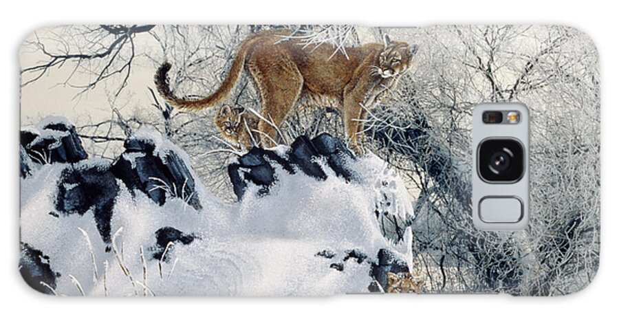 A Mountain Lion Stands On Snow Covered Rocks Galaxy Case featuring the photograph Seperate Ways by Gordon Semmens