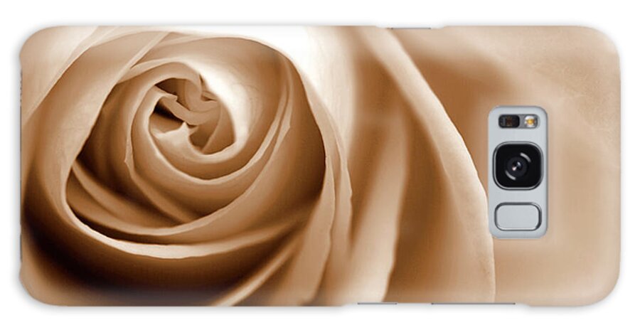 Sepia Rose 01 Galaxy Case featuring the photograph Sepia Rose 01 by Tom Quartermaine