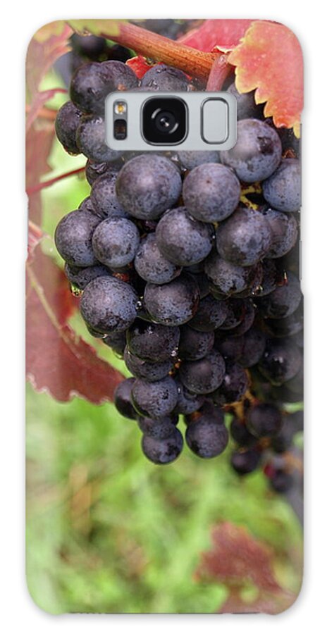 Grapes Galaxy Case featuring the photograph Shalestone - 1 by Jeffrey Peterson