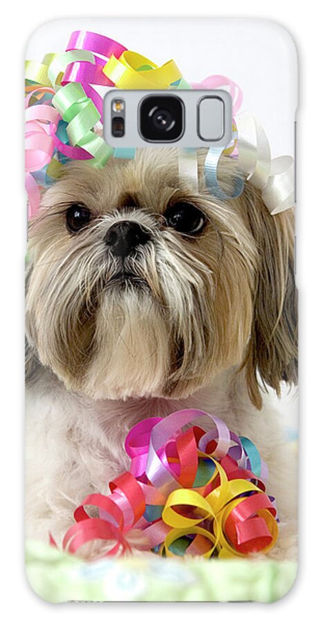 Pets Galaxy Case featuring the photograph Shih Tzu Dog by Geri Lavrov