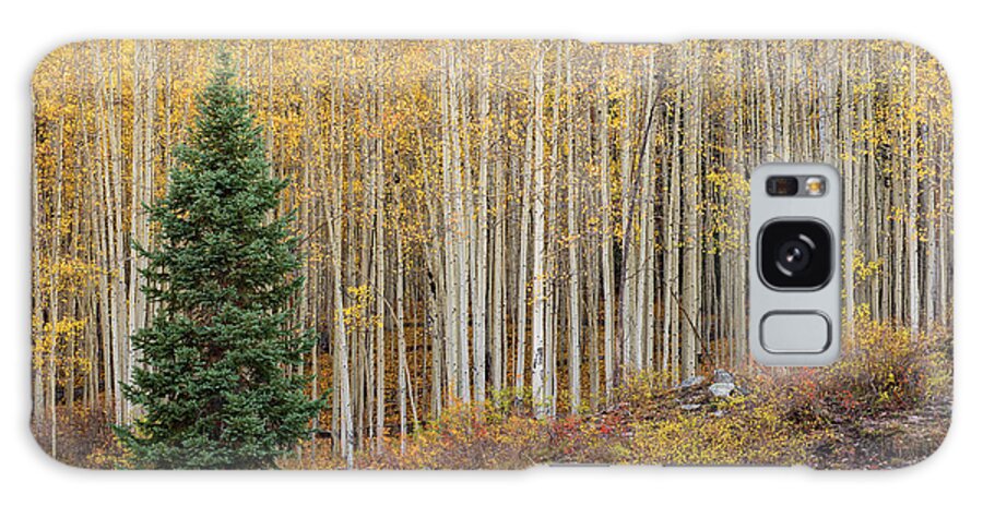 Shimmer Galaxy Case featuring the photograph Shimmering Aspens by Angela Moyer