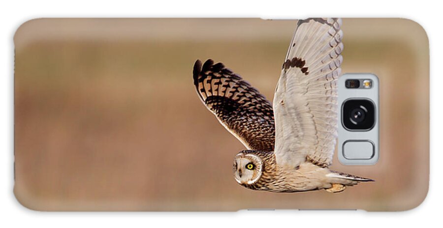 England Galaxy Case featuring the photograph Short-eared Owl by Andrew Sproule