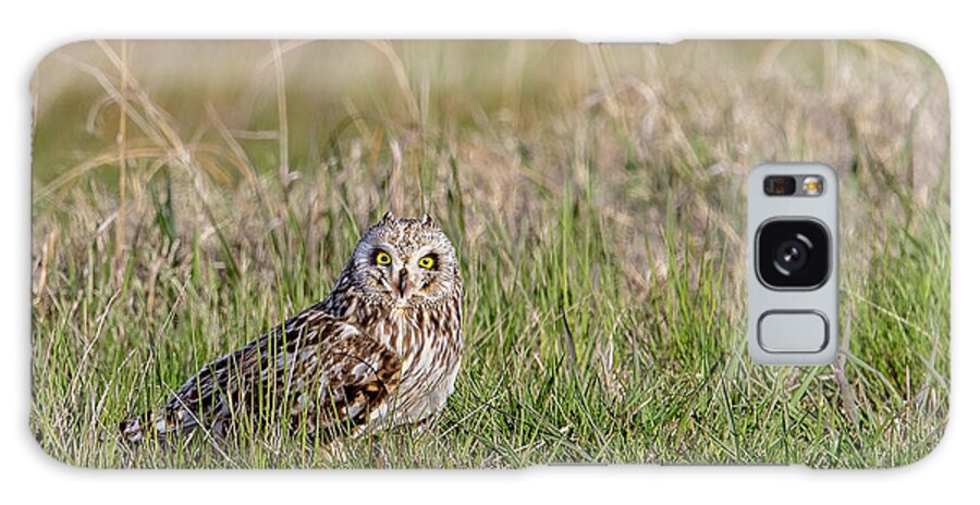 Owl Galaxy Case featuring the photograph Short Eared Owl by Ronnie And Frances Howard