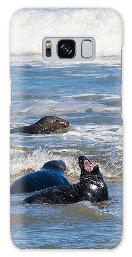 Gray Seal Galaxy Case featuring the photograph Show Me Your Teeth by Linda Bonaccorsi