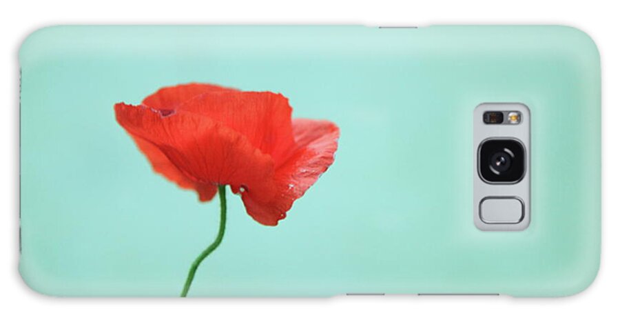 Fragility Galaxy Case featuring the photograph Simple Red Poppy On Turquoise Blue by Poppy Thomas-hill