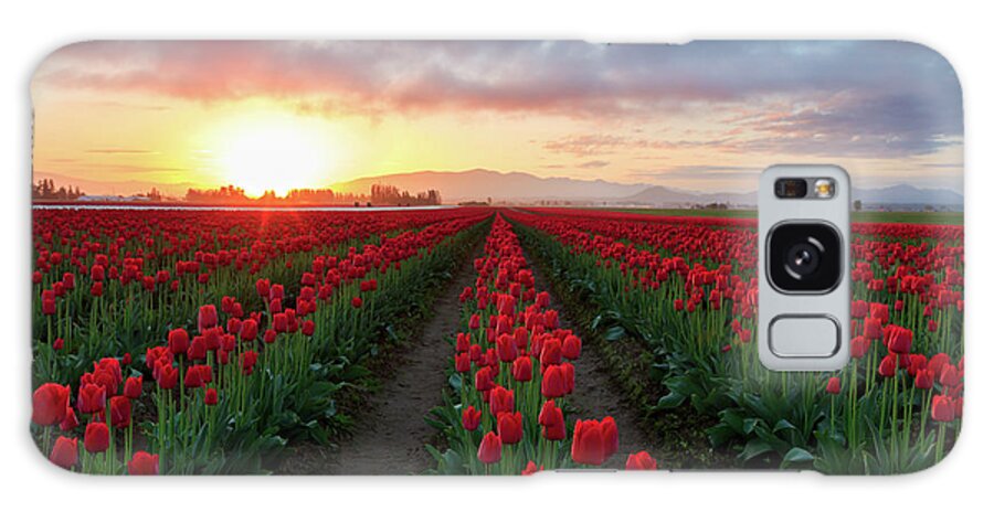 Sunrise Galaxy Case featuring the photograph Skagit Valley Sunrise by Beve Brown-Clark Photography