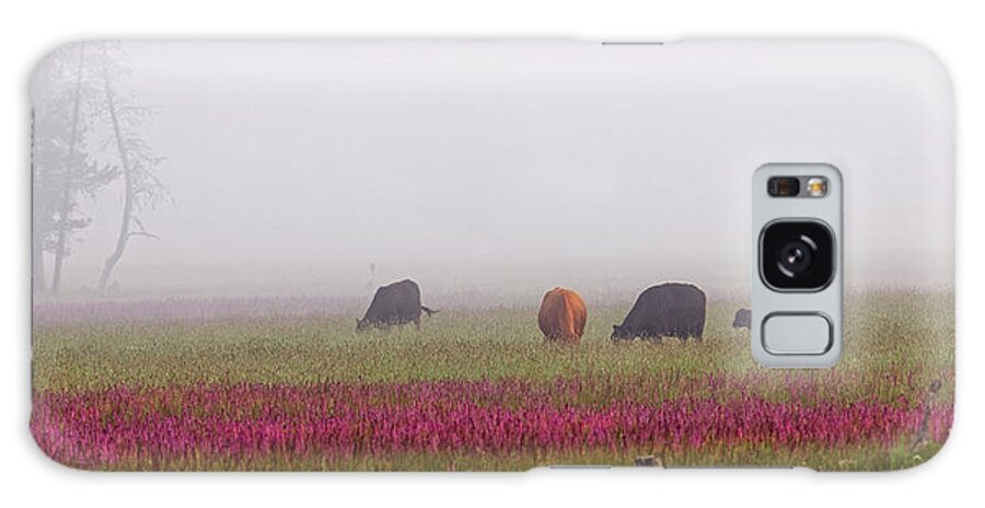 Spring Meadow Galaxy Case featuring the photograph Beef Cattle Grazing Foggy Flower Meadow by Robert C Paulson Jr